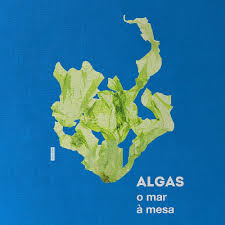 Algas - o mar à mesa