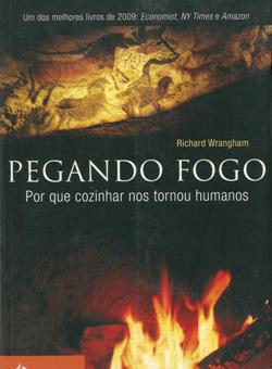 Pegando Fogo